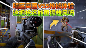 暗区突围：VSS射手步枪武器体验，这把枪还能重振雄风吗？